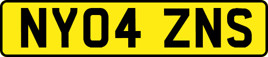 NY04ZNS