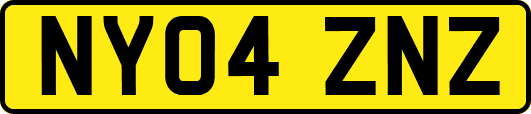 NY04ZNZ