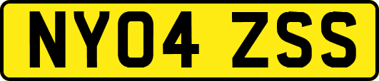 NY04ZSS