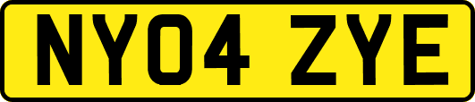 NY04ZYE