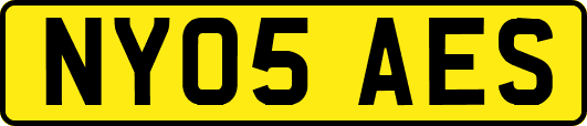 NY05AES