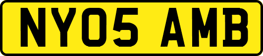 NY05AMB