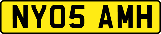 NY05AMH