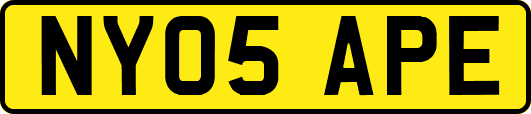 NY05APE