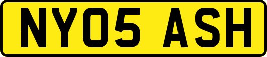 NY05ASH