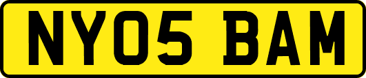 NY05BAM
