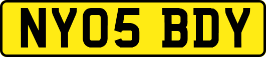NY05BDY