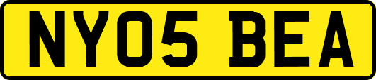 NY05BEA