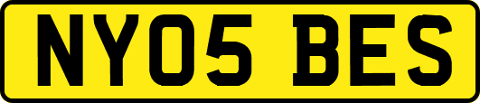NY05BES