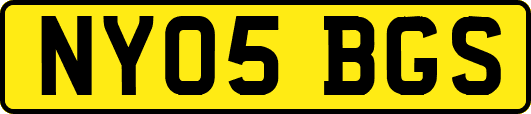 NY05BGS