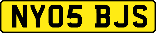 NY05BJS