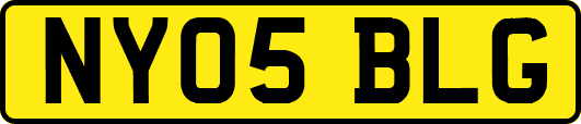 NY05BLG