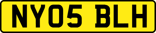 NY05BLH