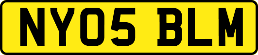 NY05BLM