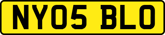 NY05BLO