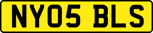 NY05BLS
