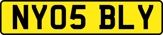 NY05BLY