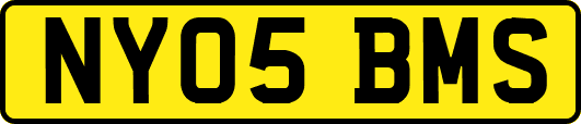 NY05BMS