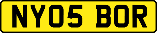NY05BOR