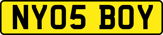 NY05BOY
