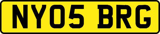 NY05BRG
