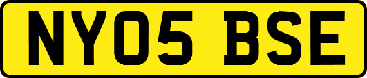 NY05BSE