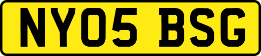 NY05BSG