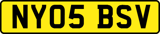 NY05BSV