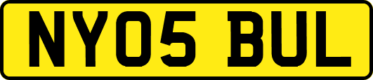 NY05BUL