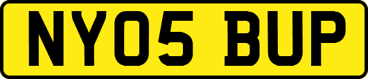 NY05BUP