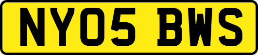 NY05BWS