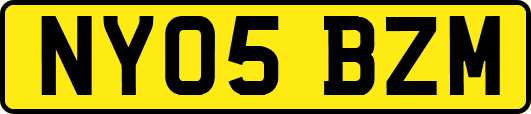 NY05BZM