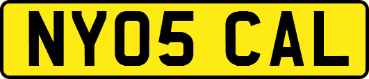 NY05CAL