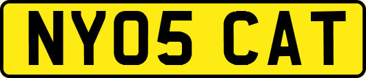 NY05CAT