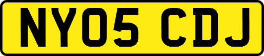 NY05CDJ