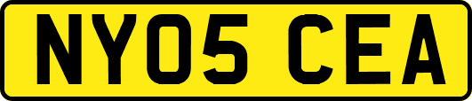 NY05CEA
