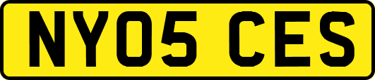 NY05CES