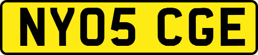 NY05CGE