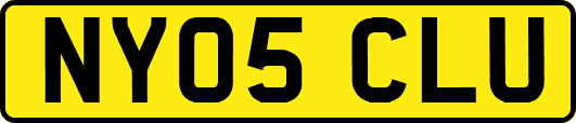 NY05CLU