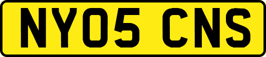 NY05CNS