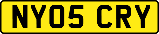 NY05CRY