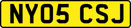 NY05CSJ