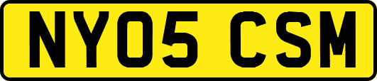 NY05CSM
