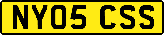 NY05CSS