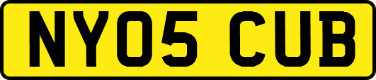 NY05CUB