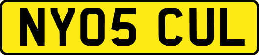 NY05CUL