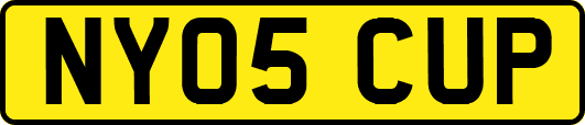 NY05CUP