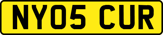 NY05CUR