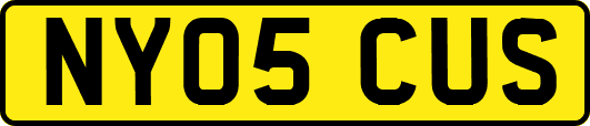 NY05CUS