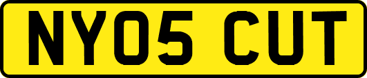 NY05CUT